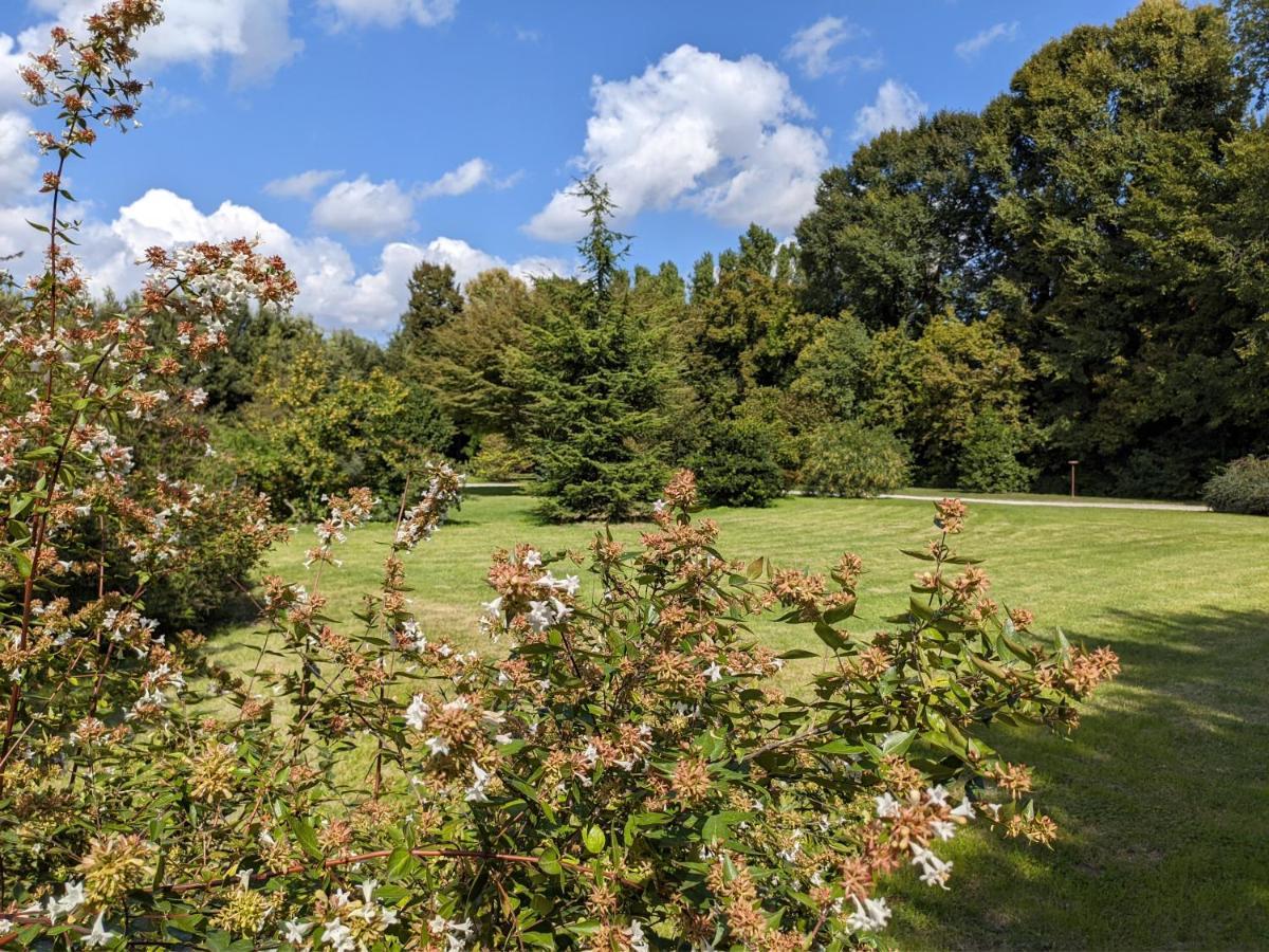 Dependance del Brenta Bed and Breakfast Fiesso dʼArtico Buitenkant foto